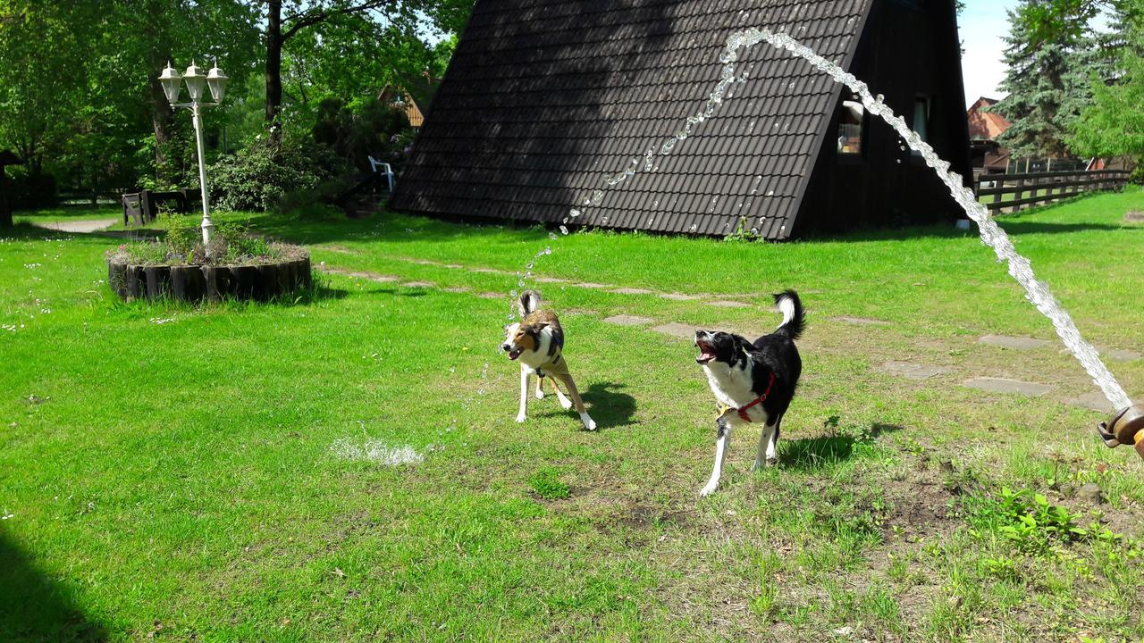 Eitzmanns Ferienhauser Dushorn Bagian luar foto